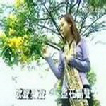 洪思芸