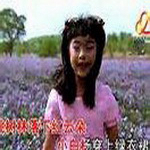 侯怡帆