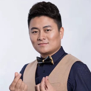 陆齐