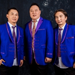 梅林组合