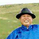 杨杨