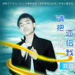羽飞