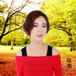 陈惠