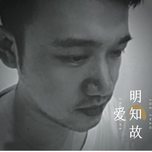 赵胤迪