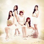 틴트