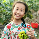 张致立